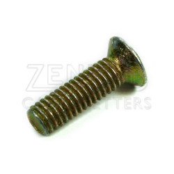 CD Stromberg starter cover fixing screw [B17269]