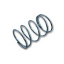 Inlet Fuel Filter Spring Holley Carter Rochester [66-37]