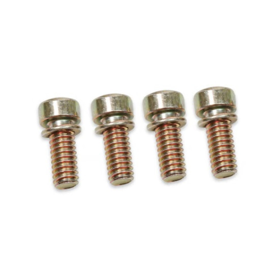 Holley 4150 4160 30cc fuel pump cover screws [5-1QFT]