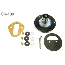 Fuel pump kit Carter [109FPK]