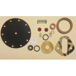 Fuel Pump Kit International Truck (389FPK)  