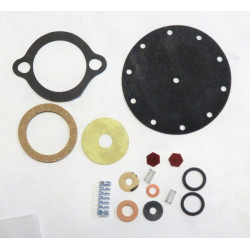 Fuel pump rebuild kit [391FPK]