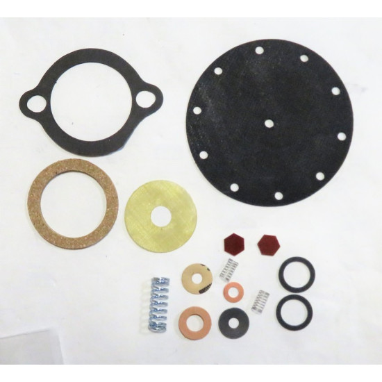 Fuel pump rebuild kit [391FPK]