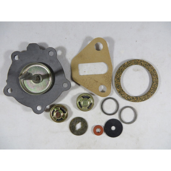 Fuel Pump Kit Albion A H Sprite Bedford Hillman Lotus Morris Perkins Standard & MANY MORE see list here (631FPK)   