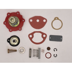 Fuel Pump Kit APG pumps [906FPK]   