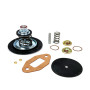 Fuel Pump Kit Holden V8 253 & 308 [951FPK]