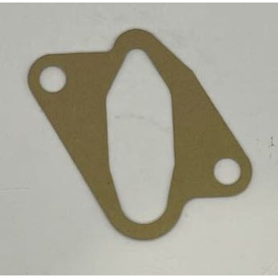 Fuel Pump Flange gasket [FG302]
