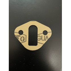 Fuel Pump Flange Gasket [FG605]