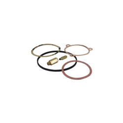 SU Carburettor Needle & Seat H to HIF .070" Viton Tip [VZX1100]