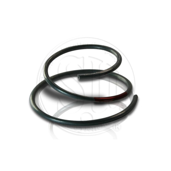 SU Fuel Pump HP armature spring [AUB759]