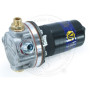 SU Fuel Pump 12 Volt LP Dual Polarity, Alvis, Aston Martin, Jaguar, Morris, Riley, Singer, Wolseley (AUA25)   