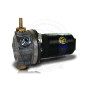 SU Fuel Pump 12 Volt LP Dual Polarity Alvis Aston Martin Jaguar MG Morris Riley Singer Wolseley (AUA66)