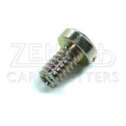 Zenith screw [L1942]