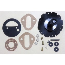 Fuel pump kit Ford F Series V8 1963-65 Carter pump [184FPK]