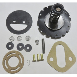 Fuel pump kit Ford F Series 6 Cyl '60-64 Carter [185FPK]