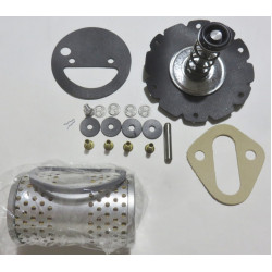 Fuel pump kit Ford F800 '67-69 Carter pump [189FPK]