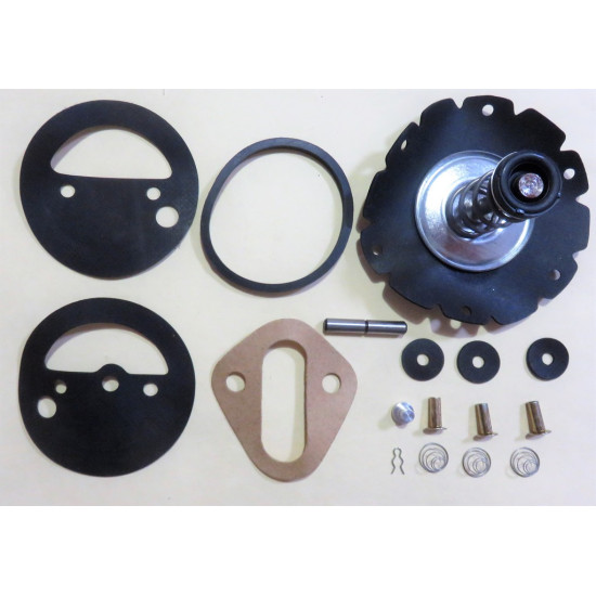 Fuel Pump Kit Ford Galaxie 289CI. 65-66 F Series 63-65 Carter pump [197FPK]