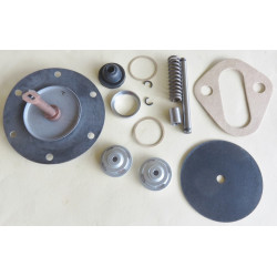 Fuel Pump Kit Buick '61-63, Oldsmobile '61-62 [349FPK] 