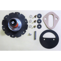 Fuel pump kit Ford Mustang Boss 302 429 Cobra Jet 428CJ 428SCJ 429CJ Carter "X" pump 1968-71 [539FPK] 