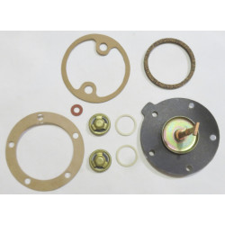 Fuel pump kit Mitsibishi Colt 1000, -1000F, Colt 1100, -1100F 1964-70 [925FPK]