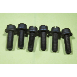 Fuel Pump Screws - hold valve housing to pump body, AC, Goss, Carter, Holley [AC141]