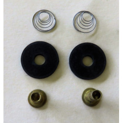 Carter Fuel Pump Valve replacement KIT [CVK3]