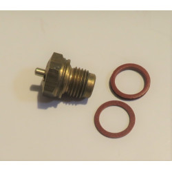 Solex Needle & Seat kit 2.0mm [B17440]