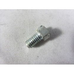 Solex / Zenith CD screw [P12867]