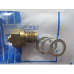 Solex Needle & Seat 2.1mm Fits B20HN B26HN Carbs in Austin J4M10 & BSA OHV 120cc engines (B17444)   Solex Needle & Seat 2.1mm Fits B20HN B26HN Carbs in Austin J4M10 & BSA OHV 120cc engines (B17444)