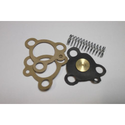 Zenith 30VIG-5 30VIG-10 36VN Austin Bedford Commer Hillman Minx Economy Diaphragm Kit includes LONG Spring (B17326)  
